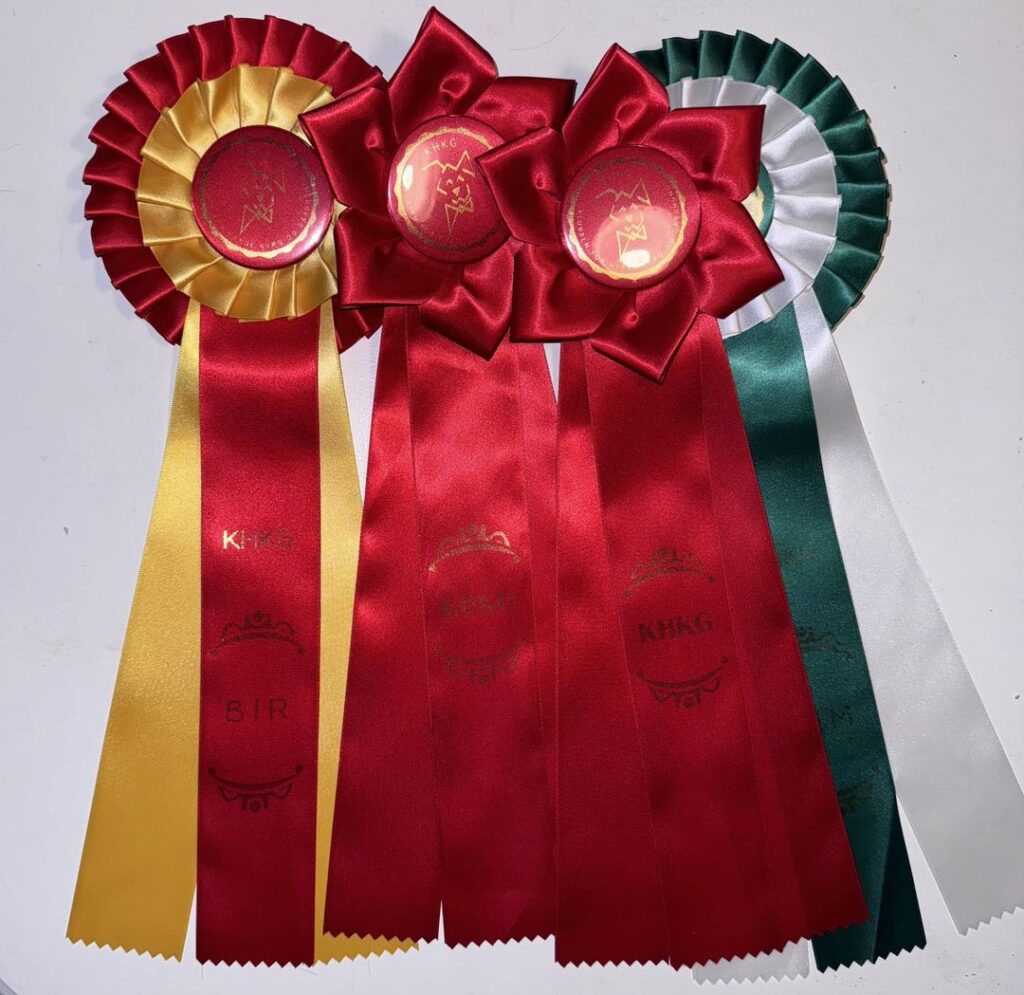 Double Special show today KHKG Køge.
Show 2.
Sundsdal's Choc'O Lat
EX1. CK. BHK1. CAC. BOB.
Best Junior
Show 1.
Sundsdal's Choc'O Lat
EX1. CK. BHK1. CAC. BOS.
Best Junior